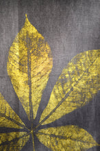 Load image into Gallery viewer, Creeper Leaf Linen Tea Towel (Set of 2 w/bag)