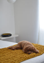 Load image into Gallery viewer, Hand-Crocheted Weighted Blanket in Mustard