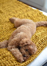 Load image into Gallery viewer, Hand-Crocheted Weighted Blanket in Mustard