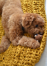 Load image into Gallery viewer, Hand-Crocheted Weighted Blanket in Mustard