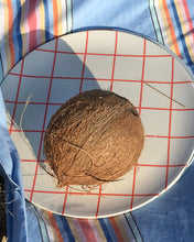 Load image into Gallery viewer, 10" Schoolhouse Bamboo Dinner Plate - Set of 4