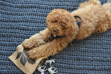 Load image into Gallery viewer, Hand-Crocheted Weighted Blanket in Charcoal
